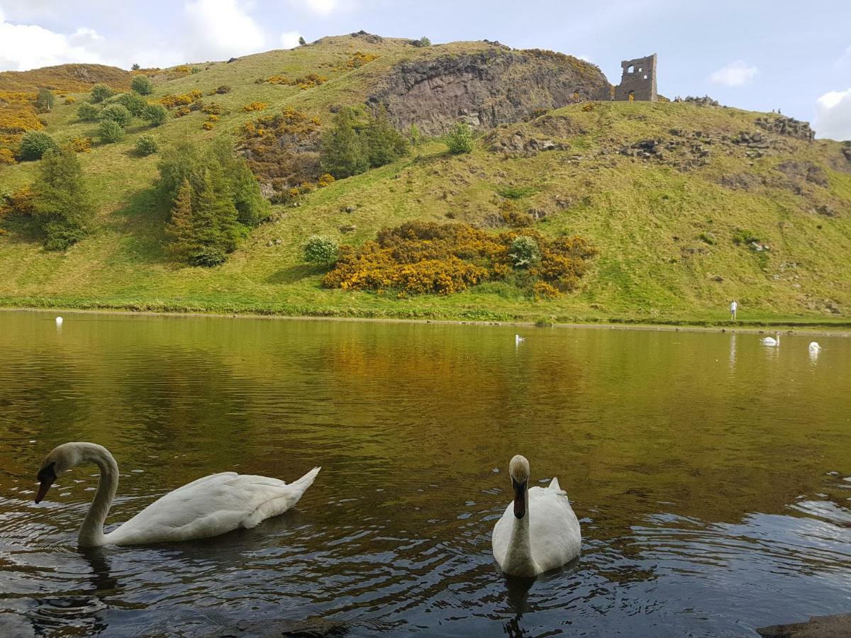 Beautiful Holyrood Park Apartment Edinburgh Exterior foto